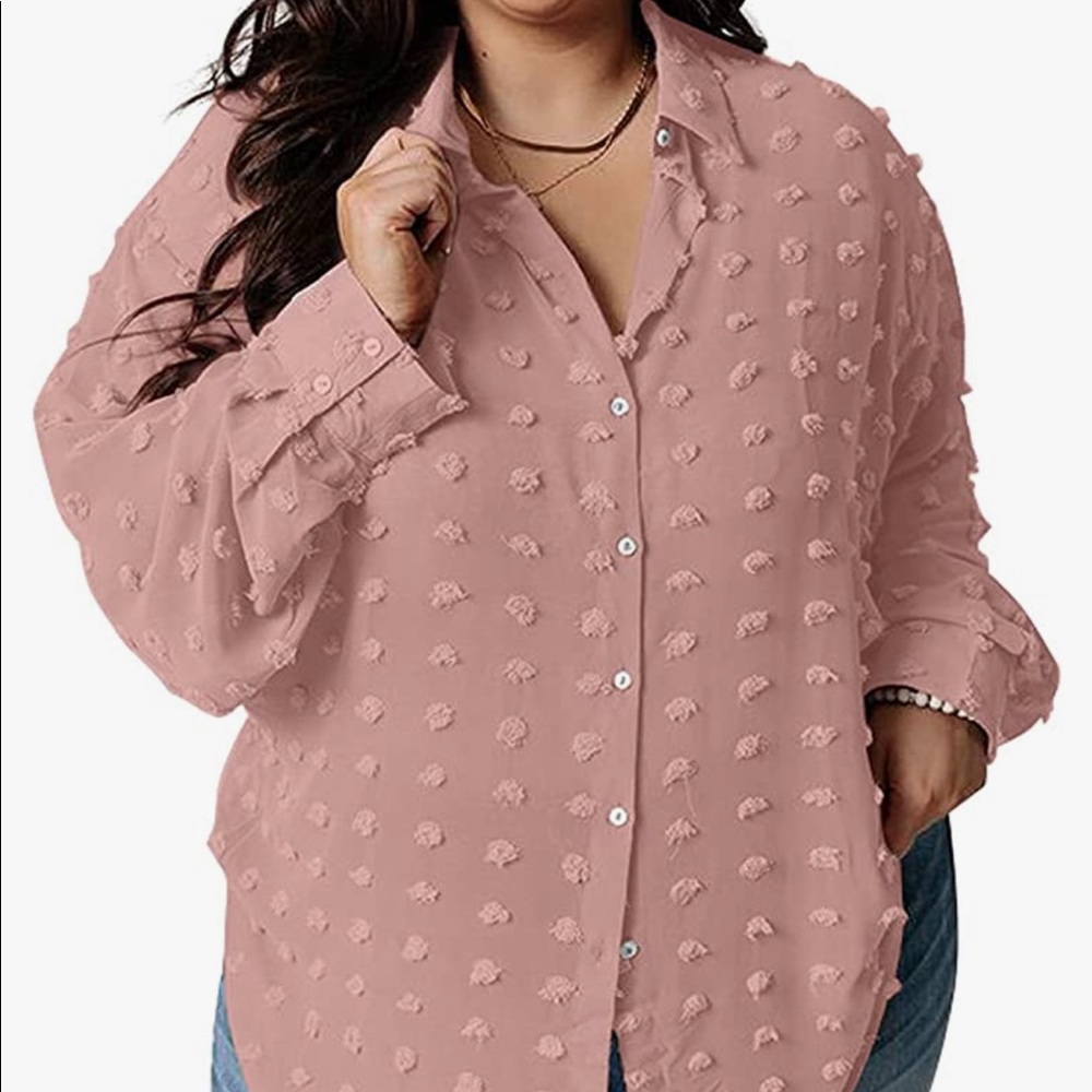 Sidefeel Womens Plus Size Long Sleeve Swiss Dot Button Down  Blouse 2X
